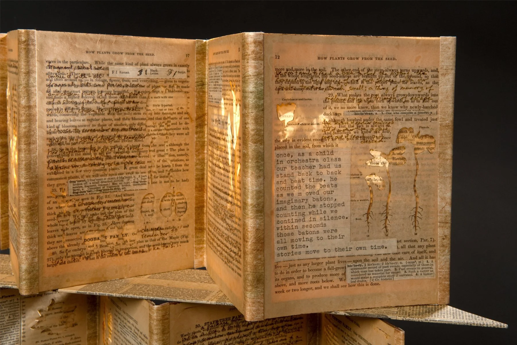 Palimpsest — Julie Leonard